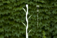 【小杰專欄】細芽｜衣架