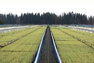 小杰專欄｜瑞典學習之旅