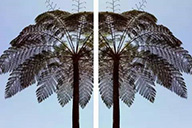 小杰專欄｜乾淨