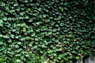 小杰專欄｜雜感