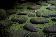 小杰專欄｜交流的形式