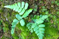 小杰專欄｜點線面