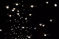 小杰專欄｜大音希聲