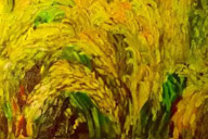 小杰專欄｜稻田