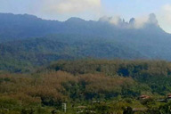 小杰專欄｜閱讀與思考