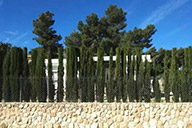 小杰專欄｜只求簡單