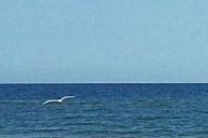 小杰專欄｜​人生在世