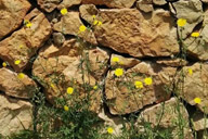 小杰專欄｜生命的路