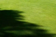 小杰專欄｜氣味