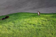 小杰專欄｜​善