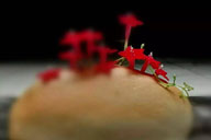 小杰專欄｜不要從別人那裏認識我