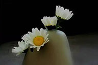 小杰專欄｜美的厚度