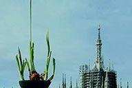 小杰專欄｜有閑真好