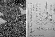 小杰隨筆｜設計的本意