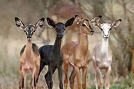 小杰隨筆​｜跟著誰很重要