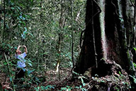 ​小杰隨筆｜好奇讓人年輕