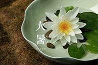 時令記 | 【大暑】荷葉田田 蛙聲一片