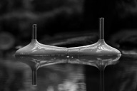 ​小杰隨筆｜基因