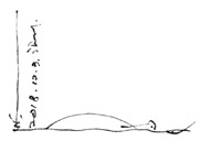 ​小杰隨筆｜问龟