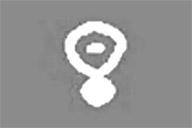 小杰随笔｜​元旦