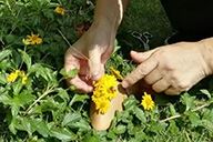 小杰隨筆｜視覺