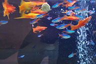 小杰隨筆｜緣分