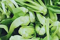 小杰隨筆｜菜市場