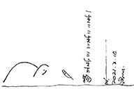 小杰隨筆｜問龟