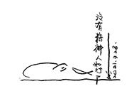 小杰隨筆｜問龟