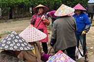 小杰隨筆｜蘆墟工廠