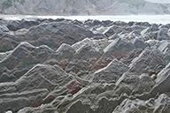 小杰隨筆｜酒瓶