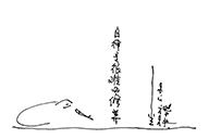 小杰隨筆｜問龟