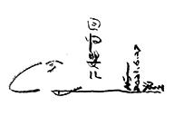 小杰隨筆｜問龟