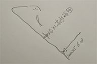 小杰隨筆｜問龟