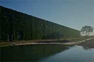 小杰隨筆｜情緒