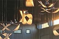 小杰隨筆｜一束光