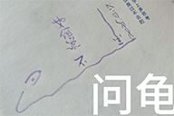 小杰隨筆｜問龟