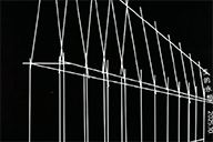 小杰隨筆｜狗貓禮堂