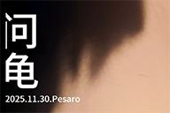 小杰隨筆｜問龟