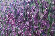 小杰隨筆｜問龟