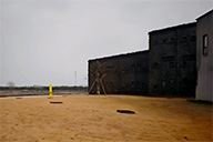 小杰隨筆｜問龟