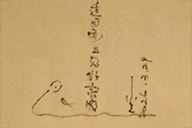 小杰隨筆｜問龟